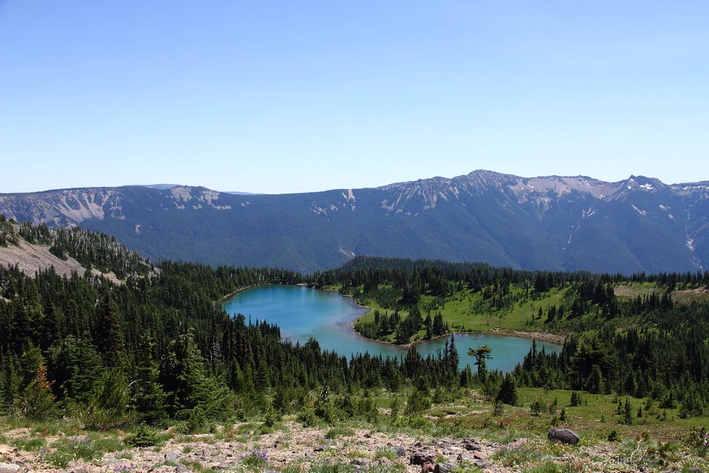 Goat Rocks Wilderness, États-Unis