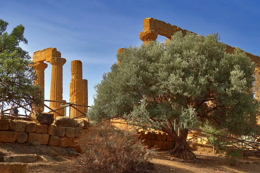 Vallée des Temples, Italie