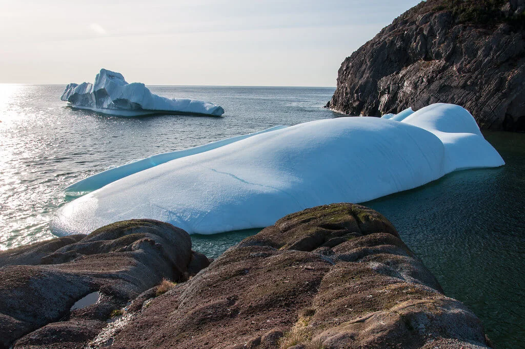 Terre-Neuve, Canada