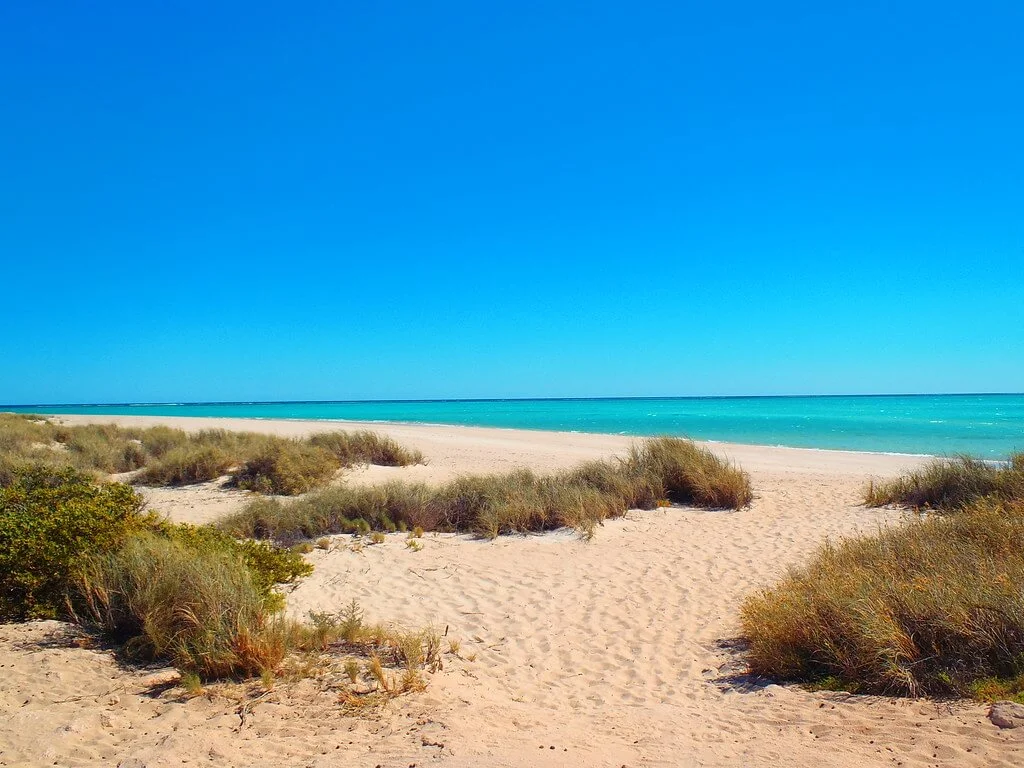 Parc marin de Ningaloo, Australie