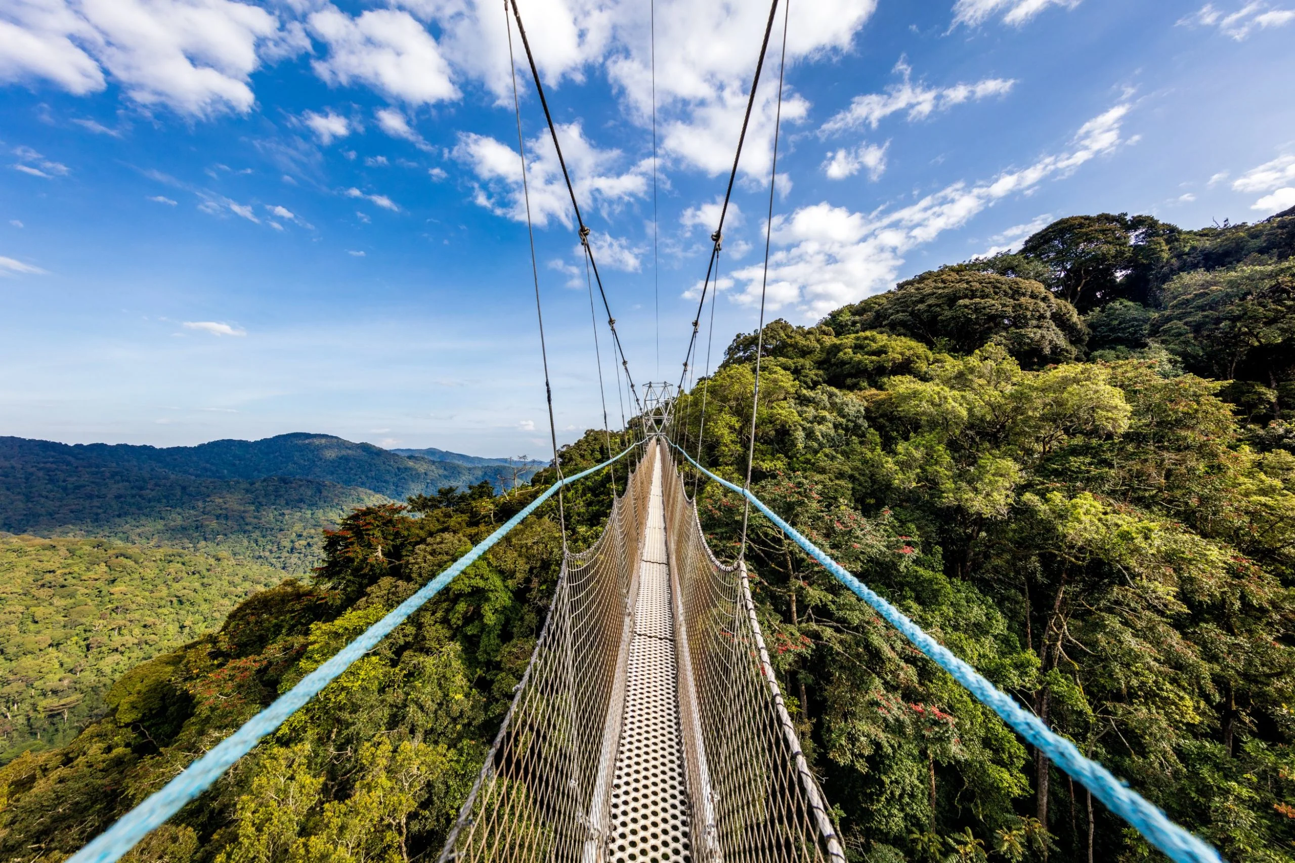 Parc national de Nyungwe, Rwanda