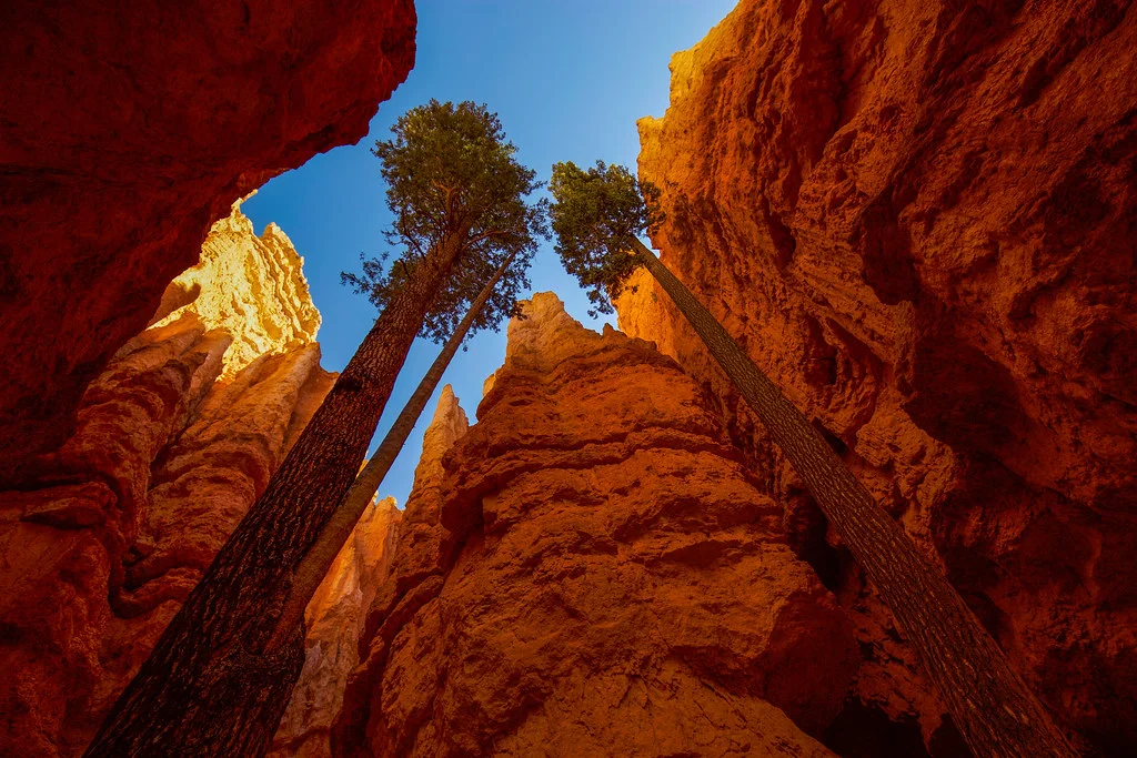 Navajo Loop Trail, États-Unis
