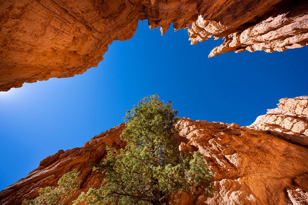 Navajo Loop Trail, États-Unis
