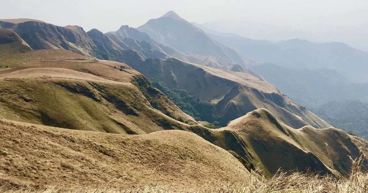 Réserve naturelle intégrale du Mont Nimba, Guinée, Côte d’Ivoire, Libéria