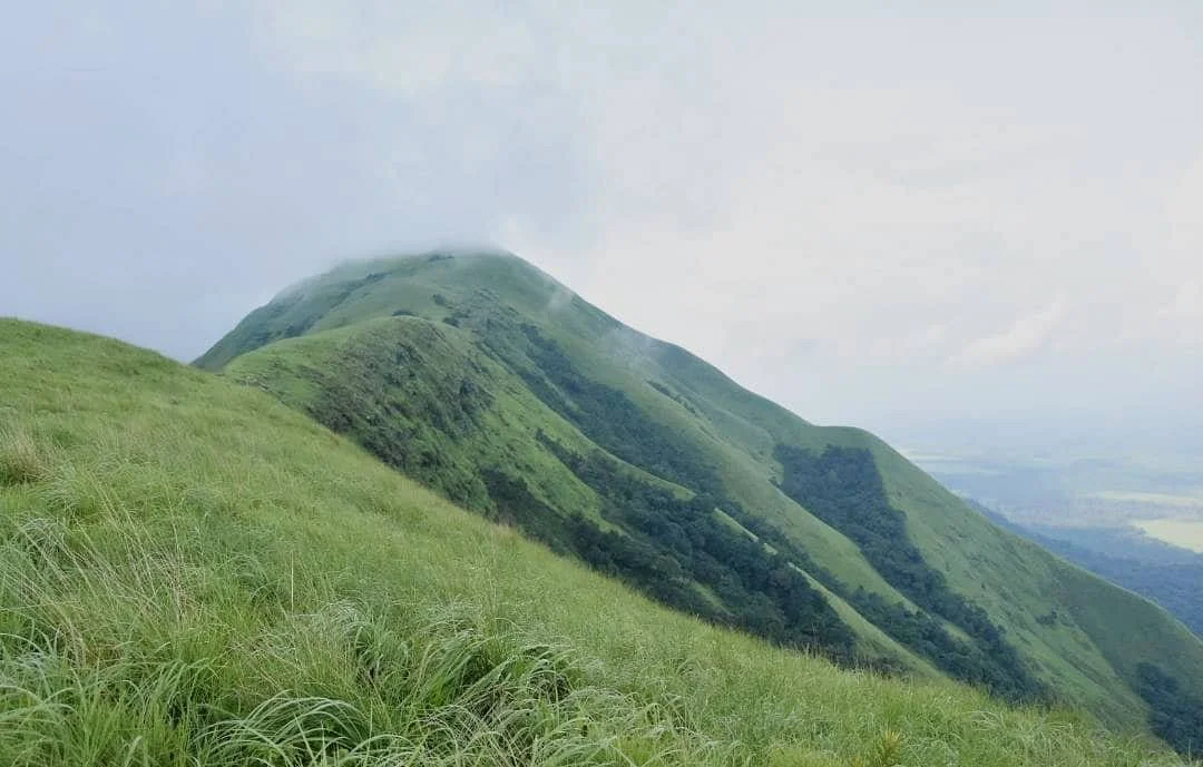 Réserve naturelle intégrale du Mont Nimba, Guinée, Côte d’Ivoire, Libéria