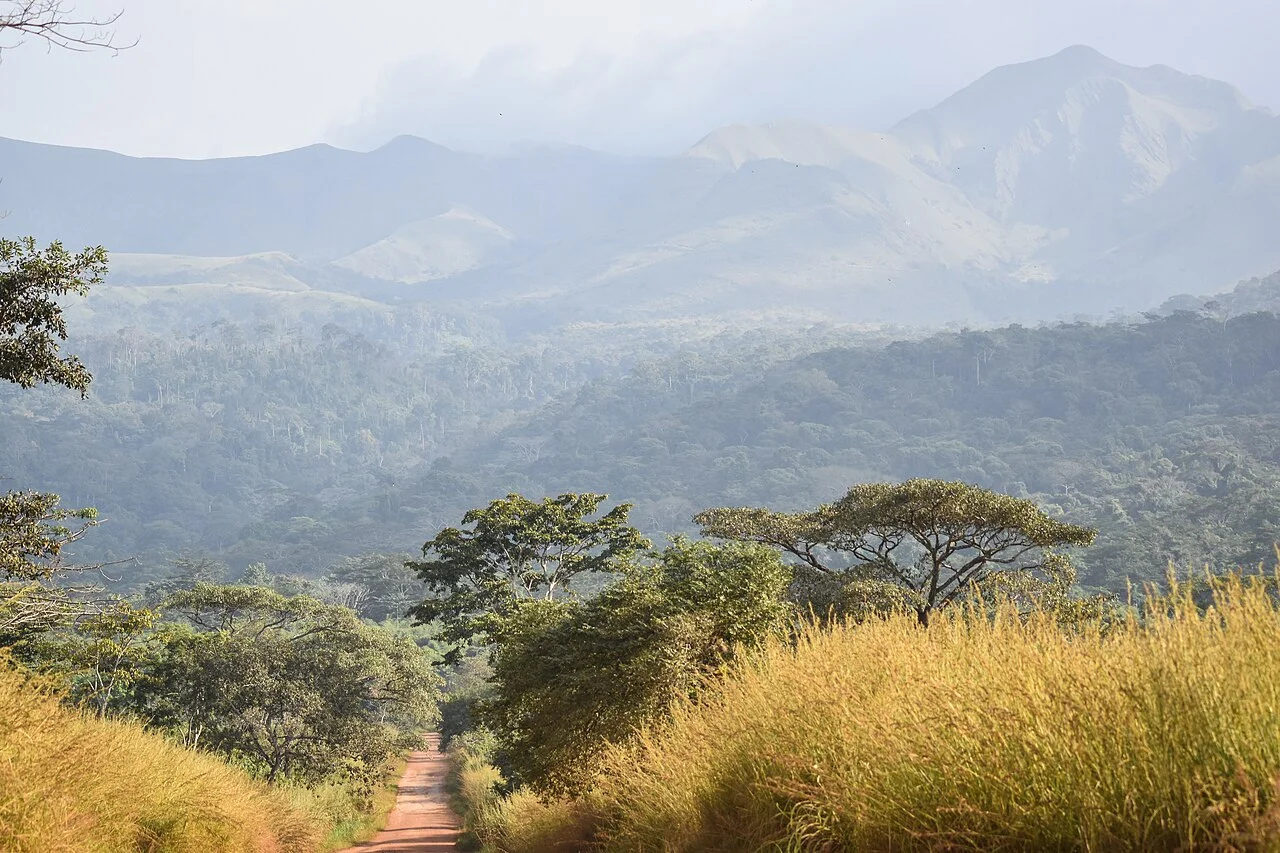 Réserve naturelle intégrale du Mont Nimba, Guinée, Côte d’Ivoire, Libéria