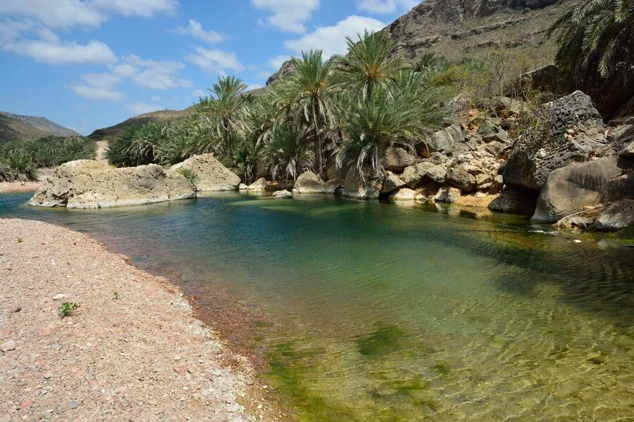 Defarhu Valley, Yémen, Socotra