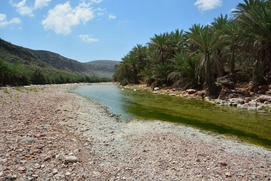 Defarhu Valley, Yémen, Socotra