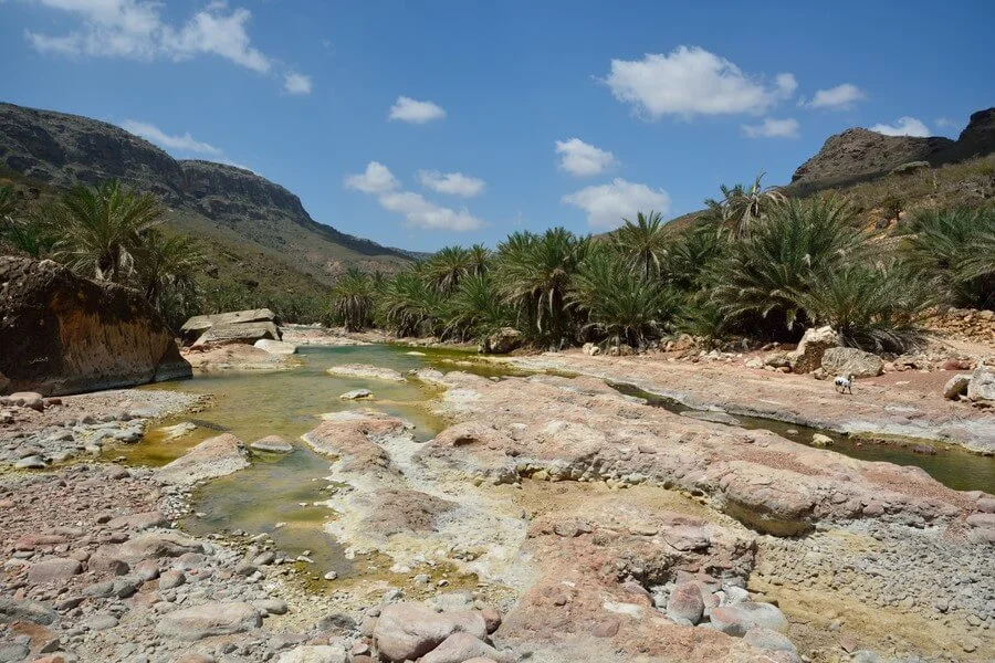 Defarhu Valley, Yémen, Socotra