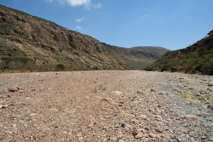 Defarhu Valley, Yémen, Socotra