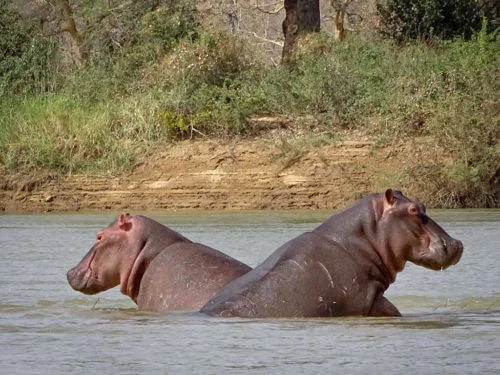 Parc national du W du Niger, Niger, Bénin, Burkina Faso
