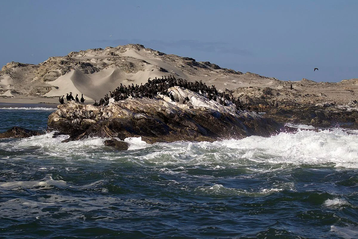 Halifax Island, Namibie
