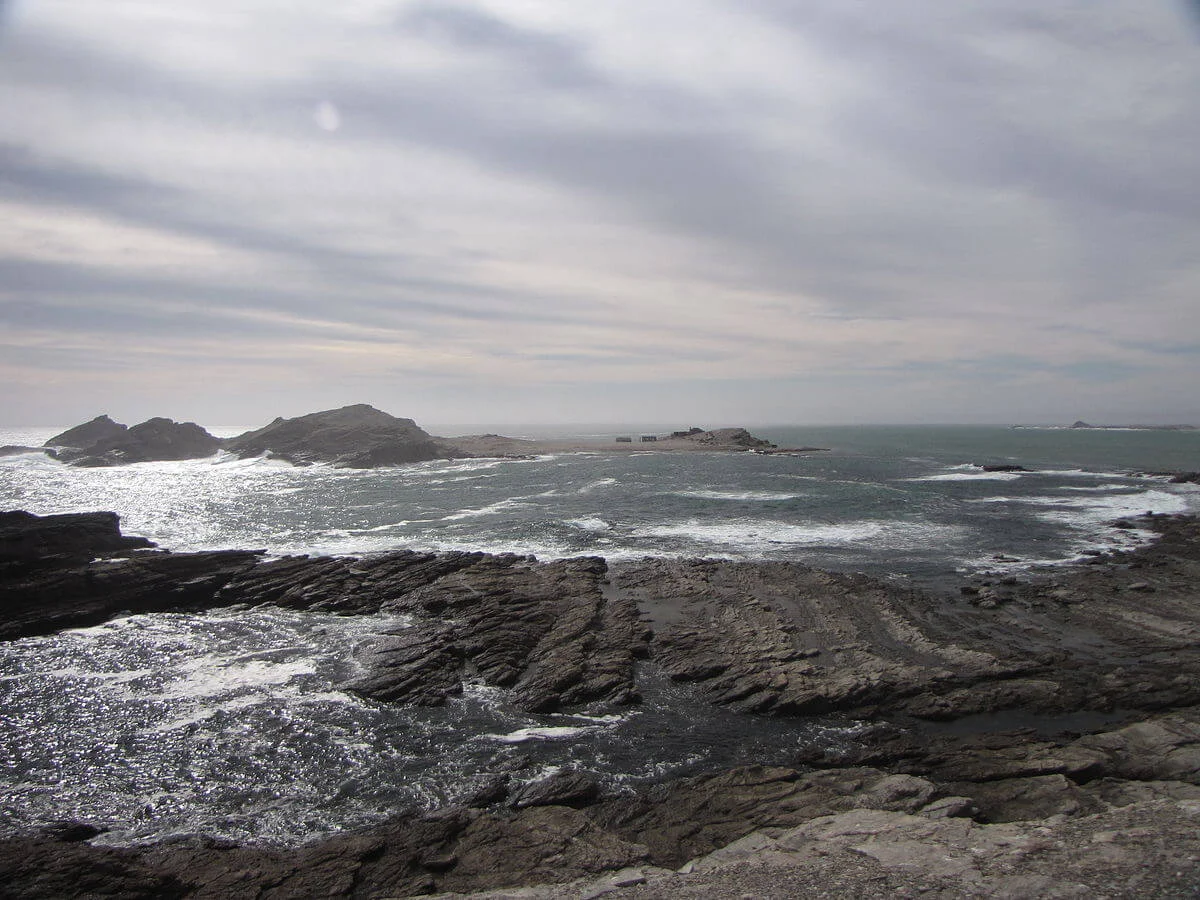 Halifax Island, Namibie