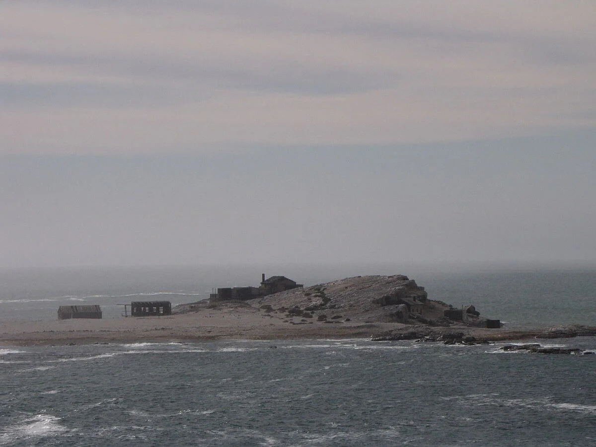 Halifax Island, Namibie