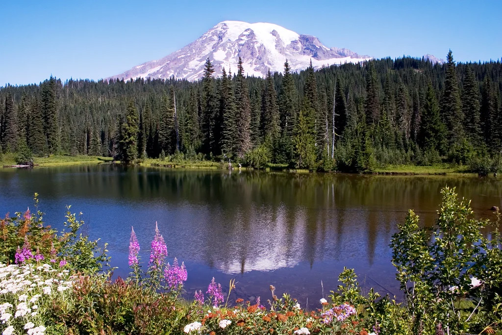Clearwater Wilderness, États-Unis