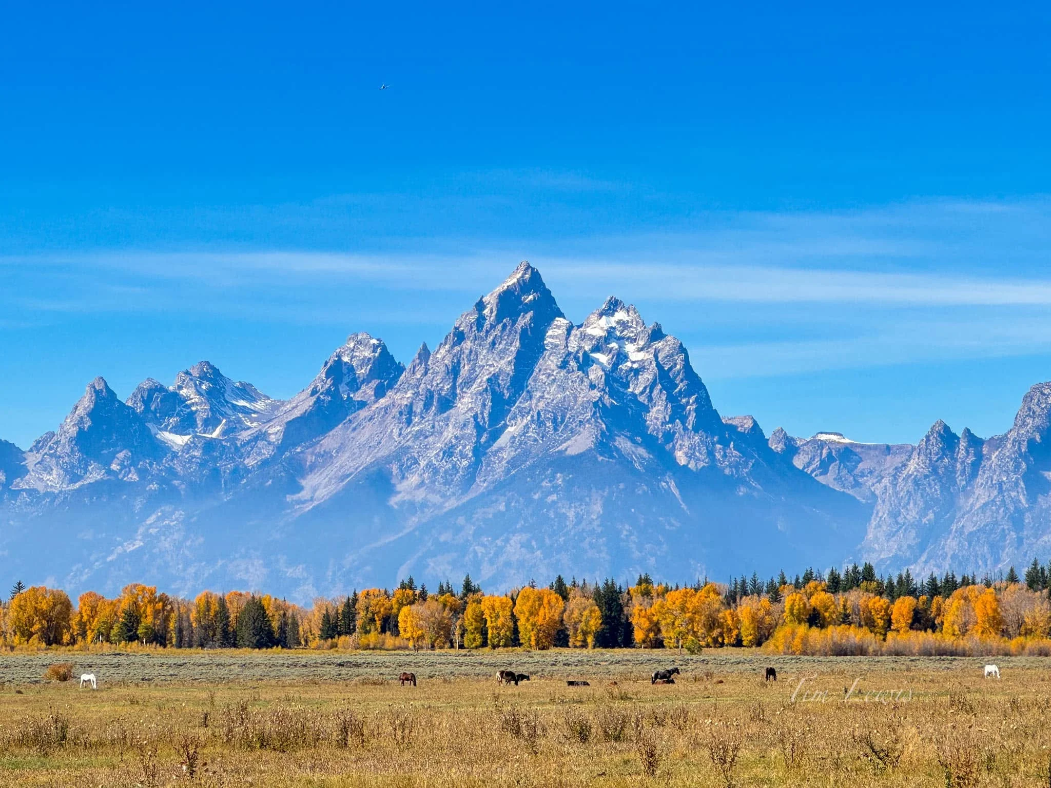 Elk Ranch Flats Turnout, États-Unis