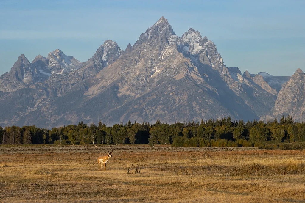 Elk Ranch Flats Turnout, États-Unis