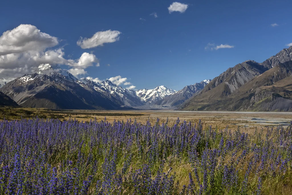 Parc national Aoraki/Mount Cook, Nouvelle-Zélande