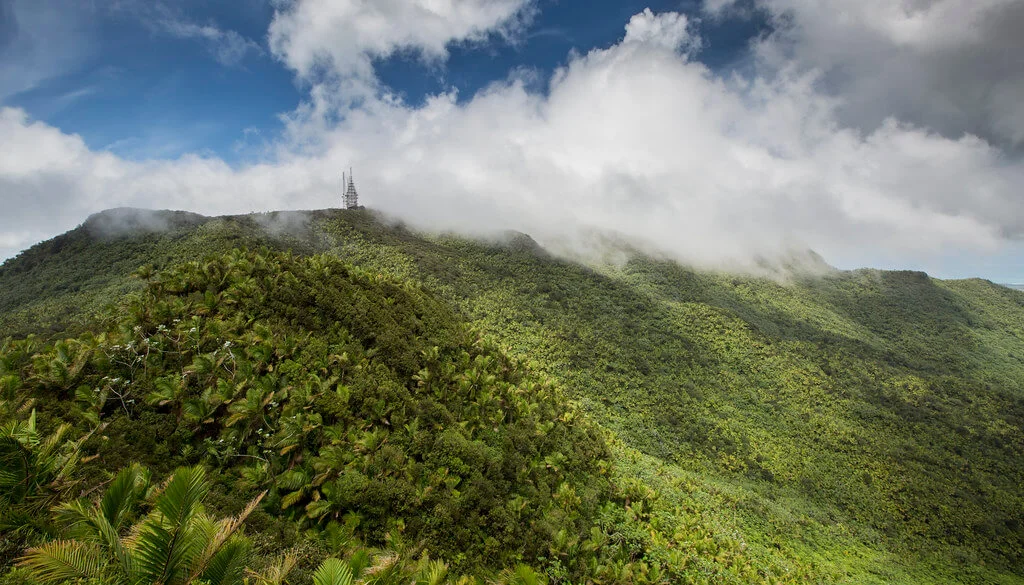 Forêt nationale d'El Yunque, Porto Rico