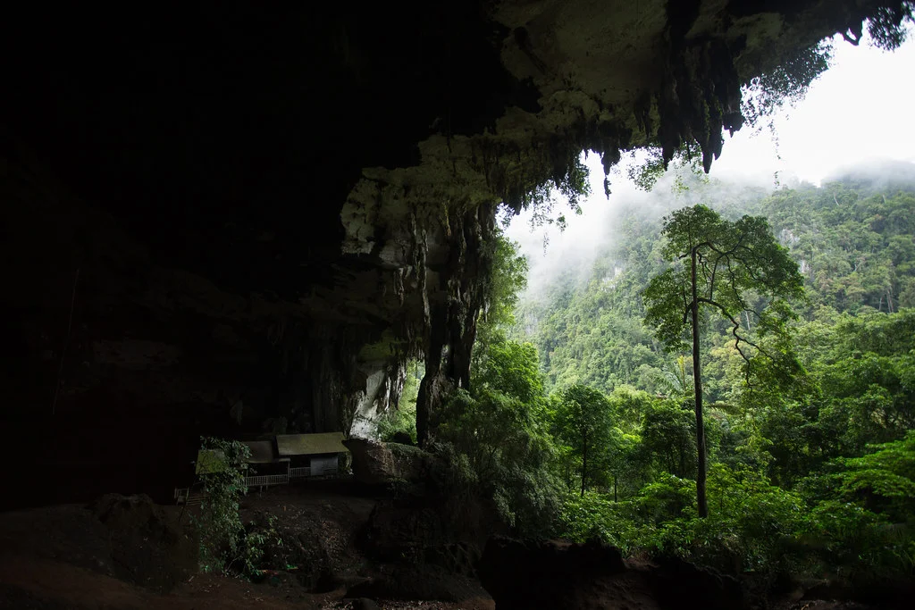 Grottes de Niah, Malaisie