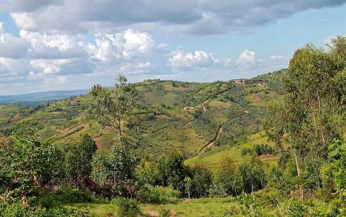 Parc national de Kibira, Burundi, Burundi, Burundi
