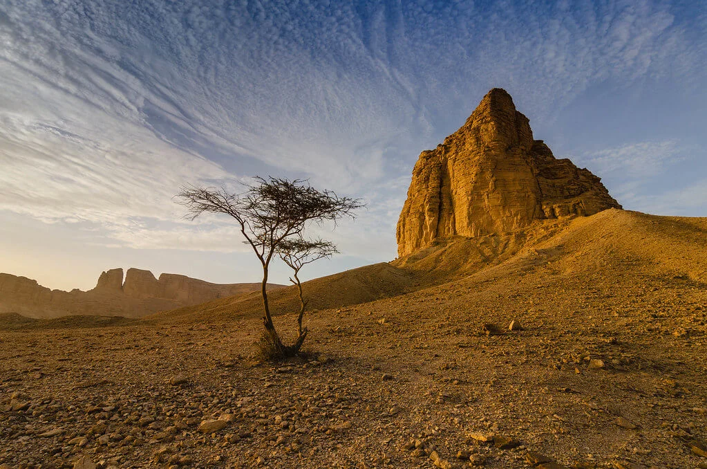Tuwaiq, Arabie saoudite