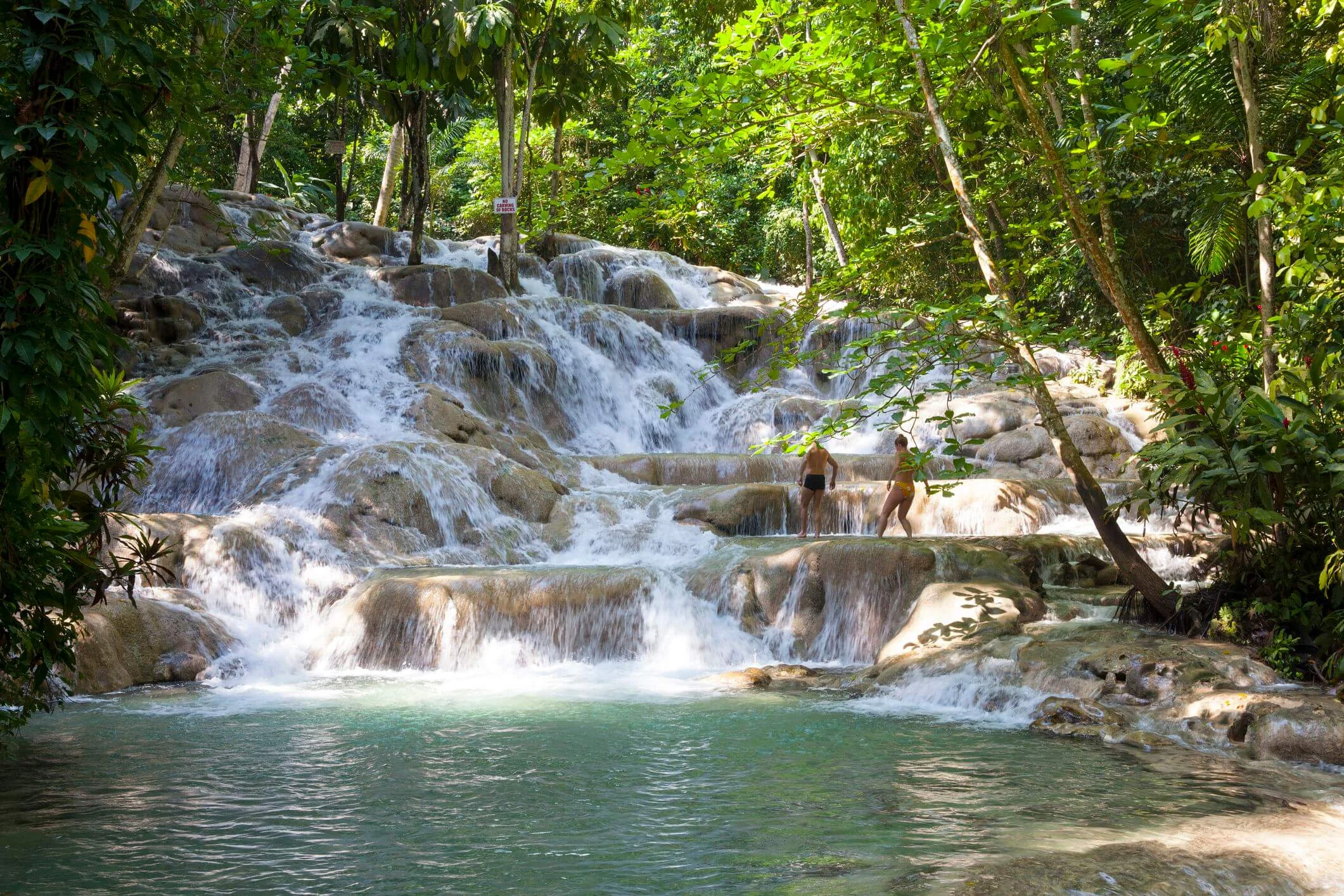 Chutes de la Dunn, Jamaïque