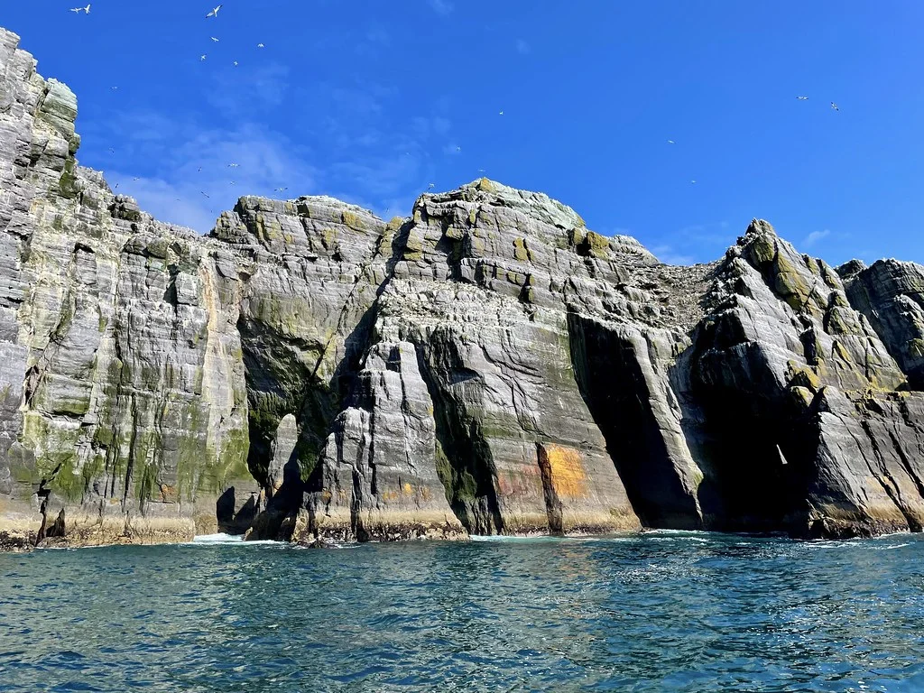 Little Skellig, Irlande