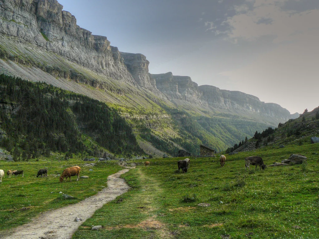 Vallée d'Ordesa, Espagne