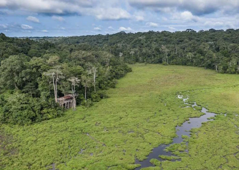 Mbeli Bai, République du Congo