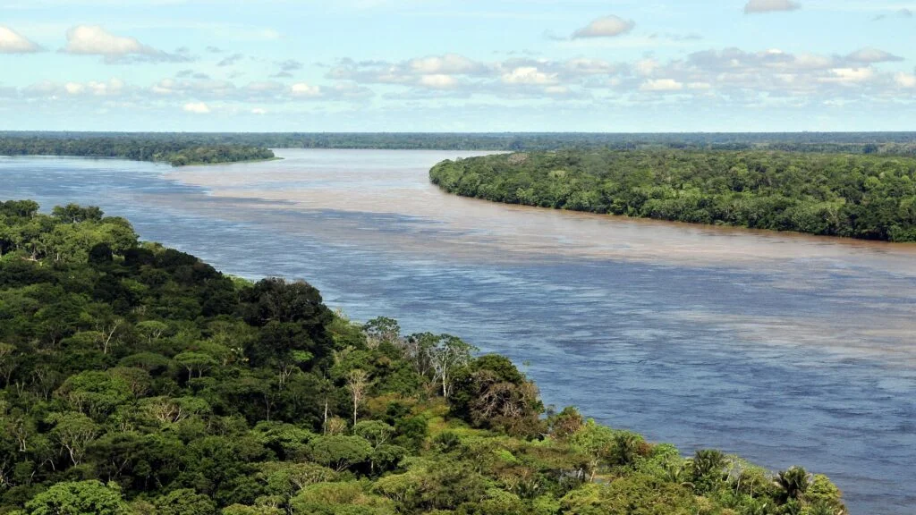 Amazone, Pérou, Colombie, Brésil, Brésil, Brésil