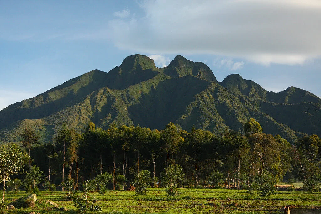 Parc national des volcans, Rwanda