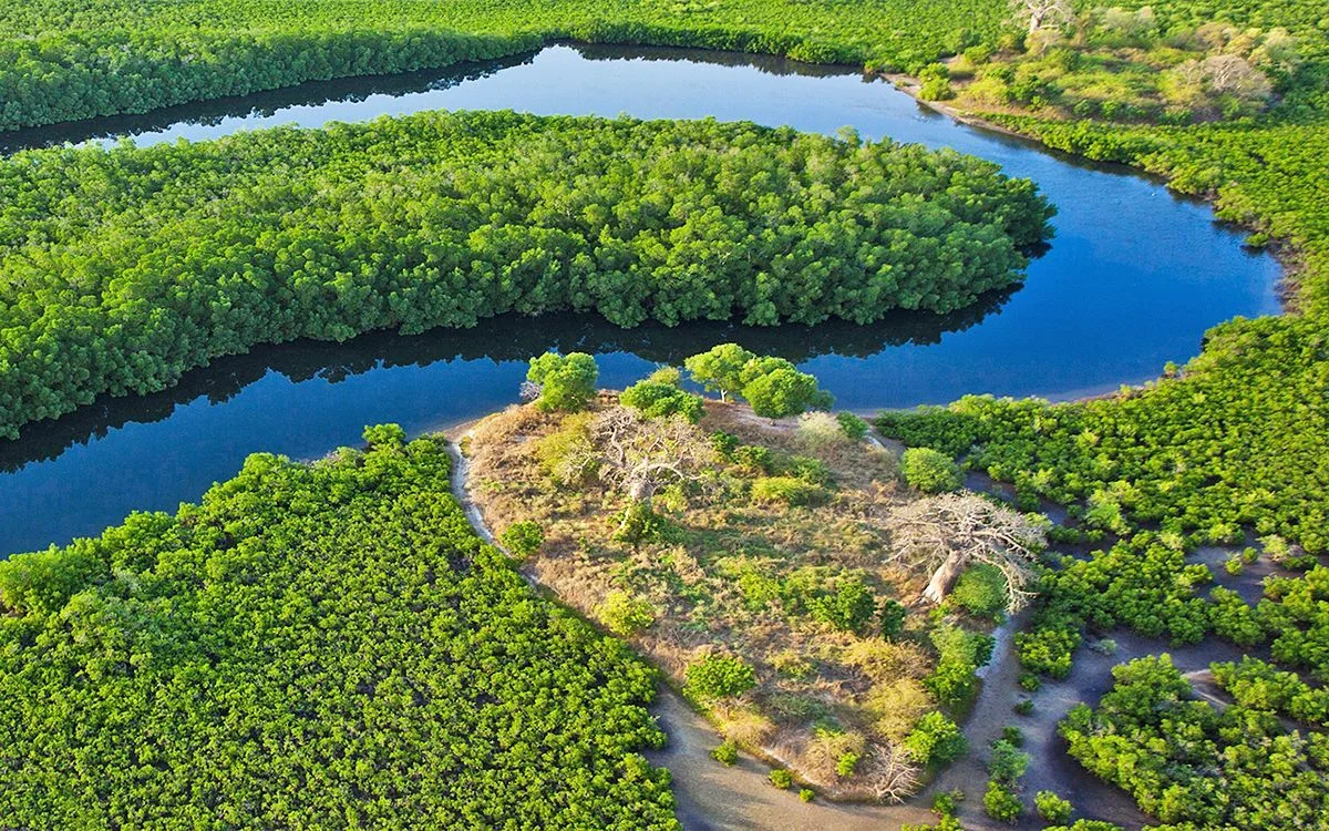 Parc national du delta du Saloum, Sénégal