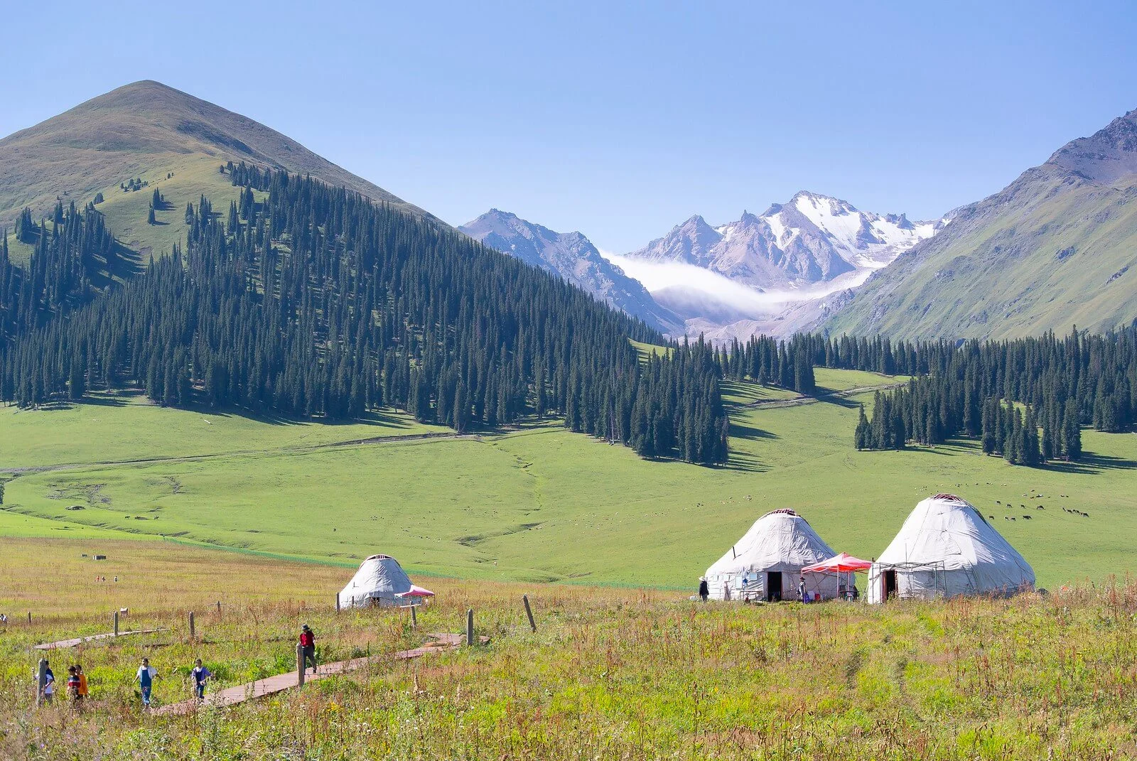 Nalati Grassland, Chine