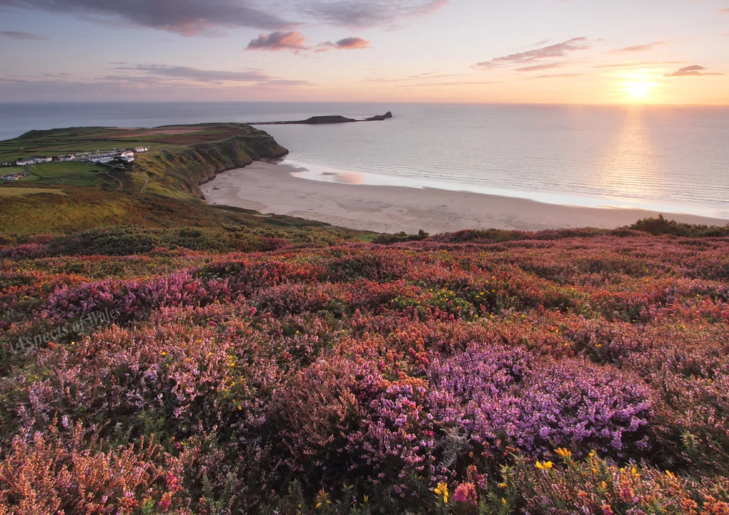 Worms Head, Pays de Galles