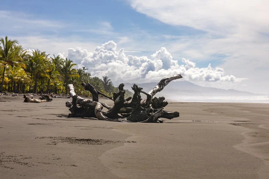 Playa Matapalo, Costa Rica