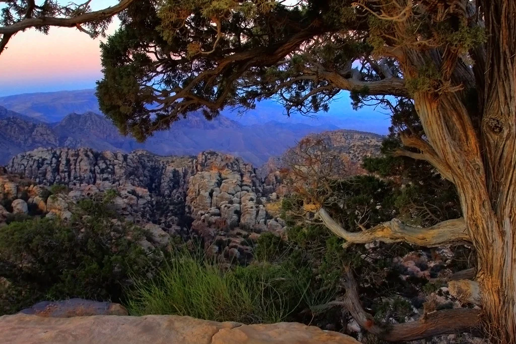 Wadi Araba, Jordanie, Jordanie, Jordanie