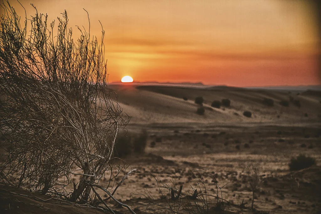 Wadi Araba, Jordanie, Jordanie, Jordanie