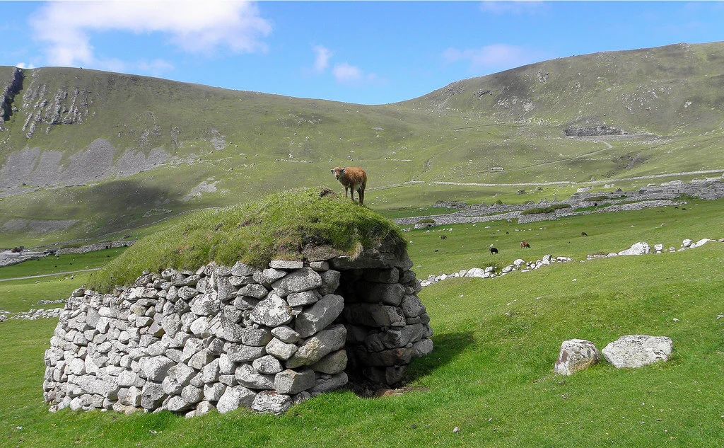 Soay, Écosse