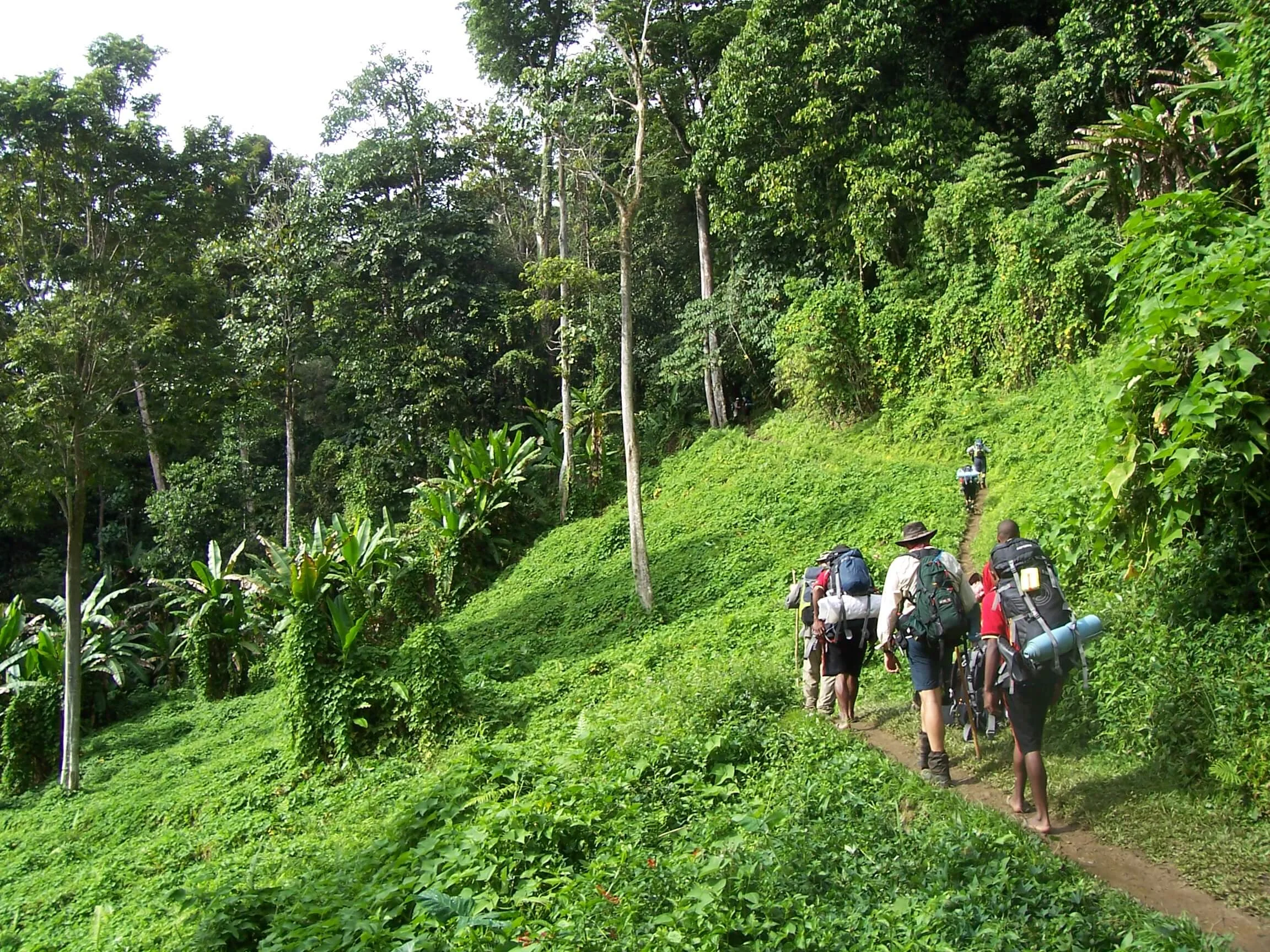 Piste de Kokoda, Papouasie-Nouvelle-Guinée, Papouasie-Nouvelle-Guinée