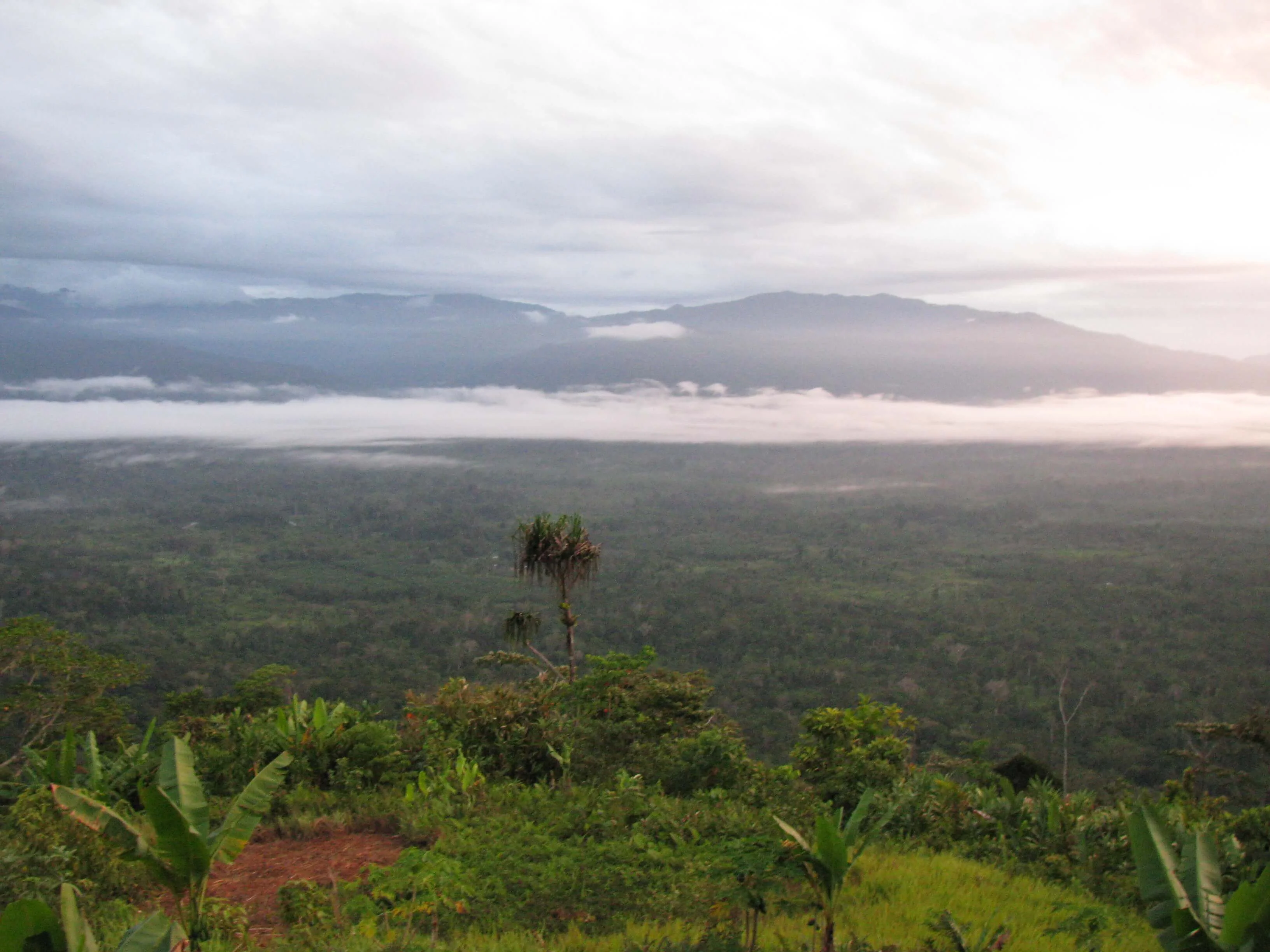 Piste de Kokoda, Papouasie-Nouvelle-Guinée, Papouasie-Nouvelle-Guinée