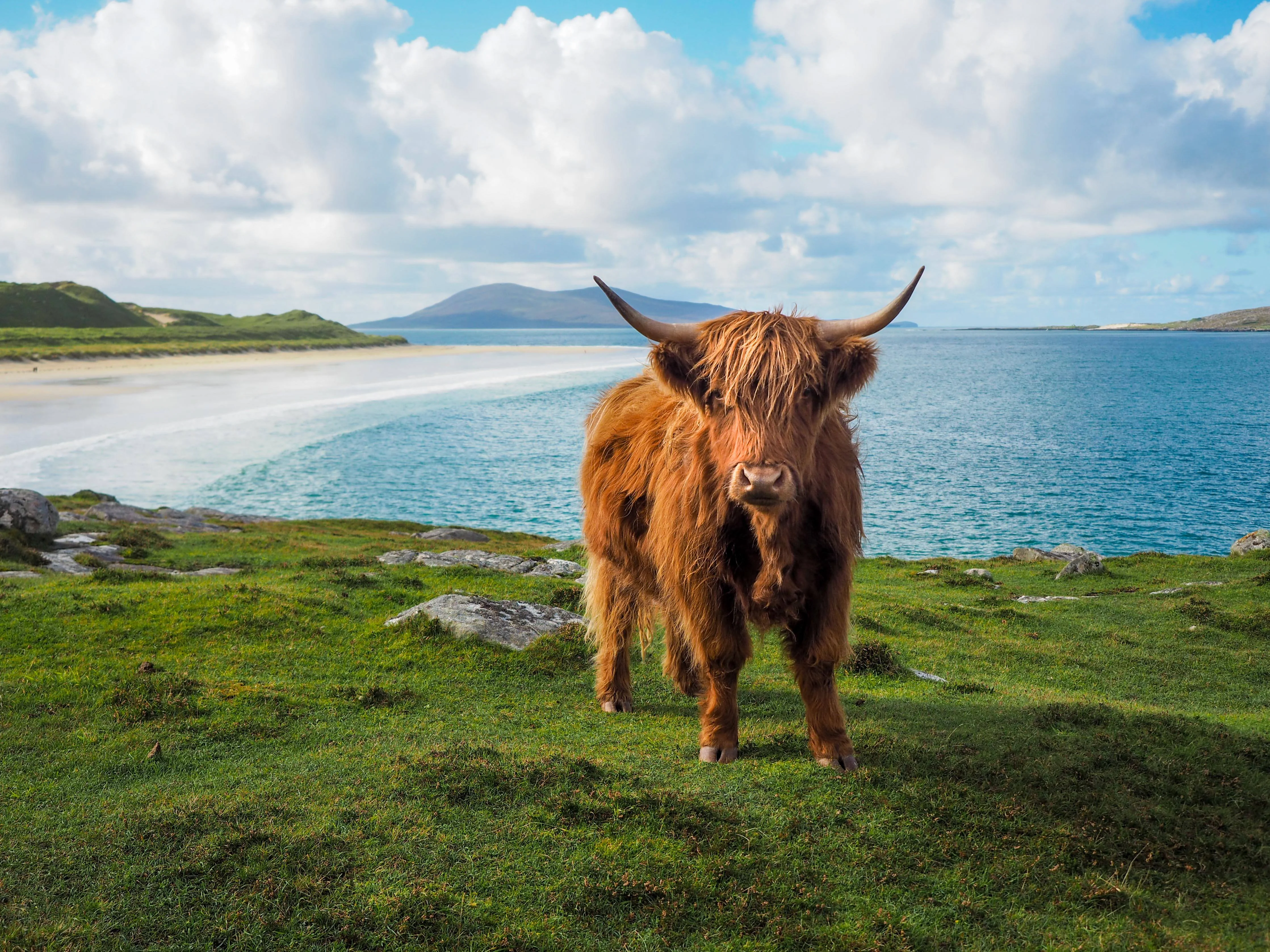 Ile de Harris , Écosse