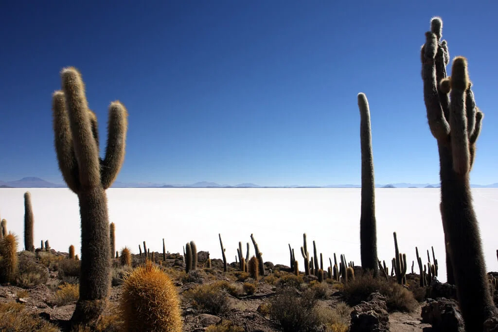 Salar d'Uyuni, Bolivie
