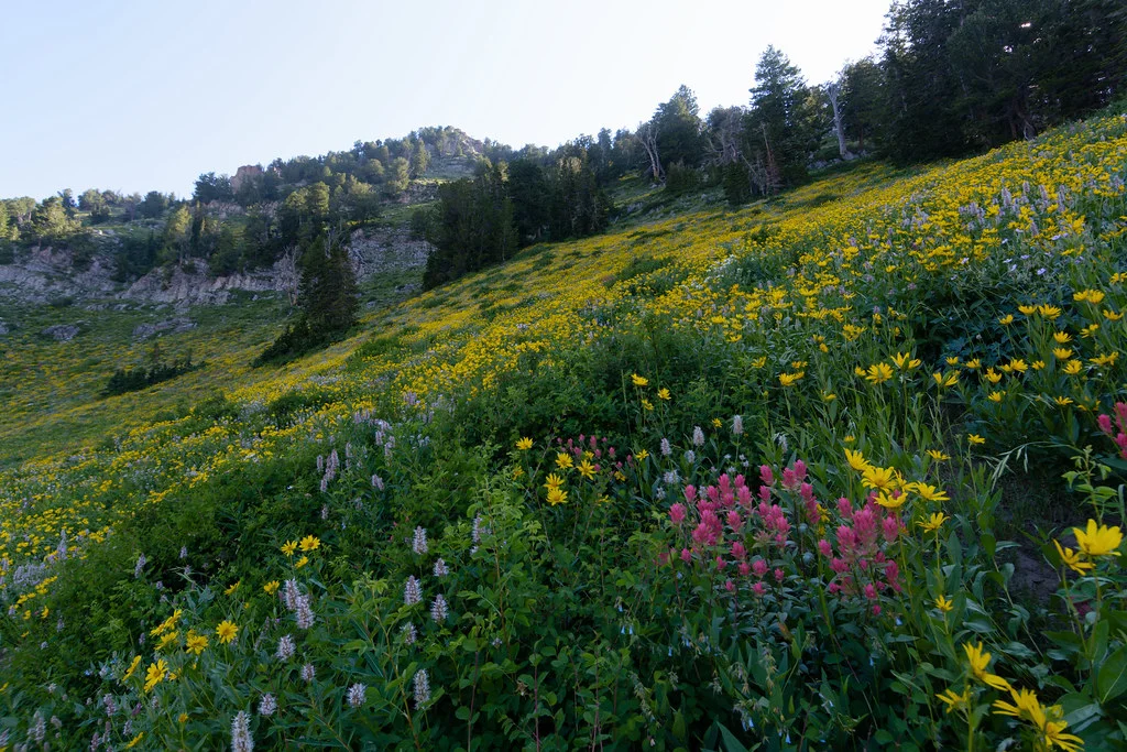 Mont Olympe (États-Unis), États-Unis