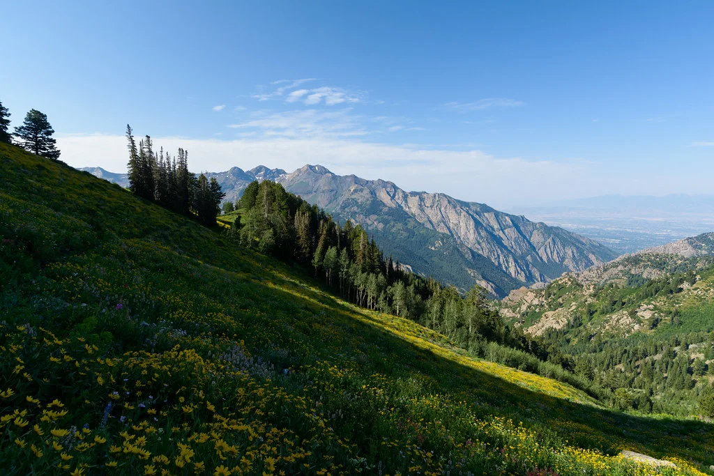 Mont Olympe (États-Unis), États-Unis
