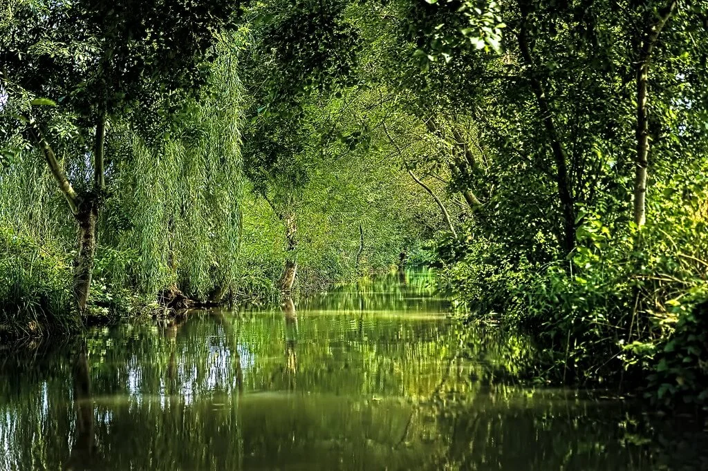 Marais poitevin, France, France
