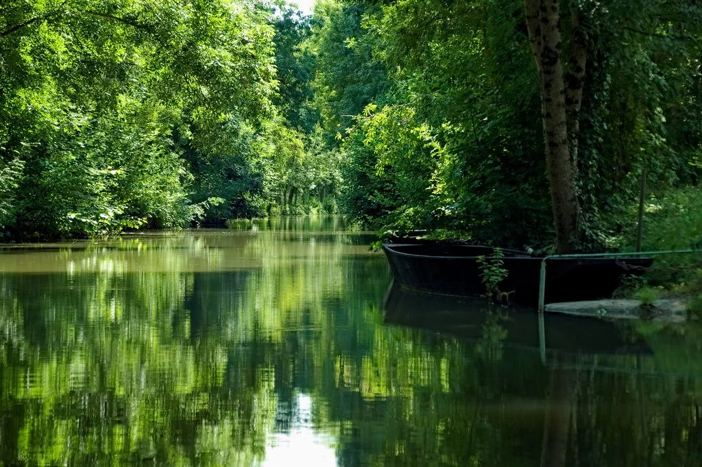 Marais poitevin, France, France