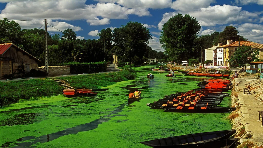 Marais poitevin, France, France