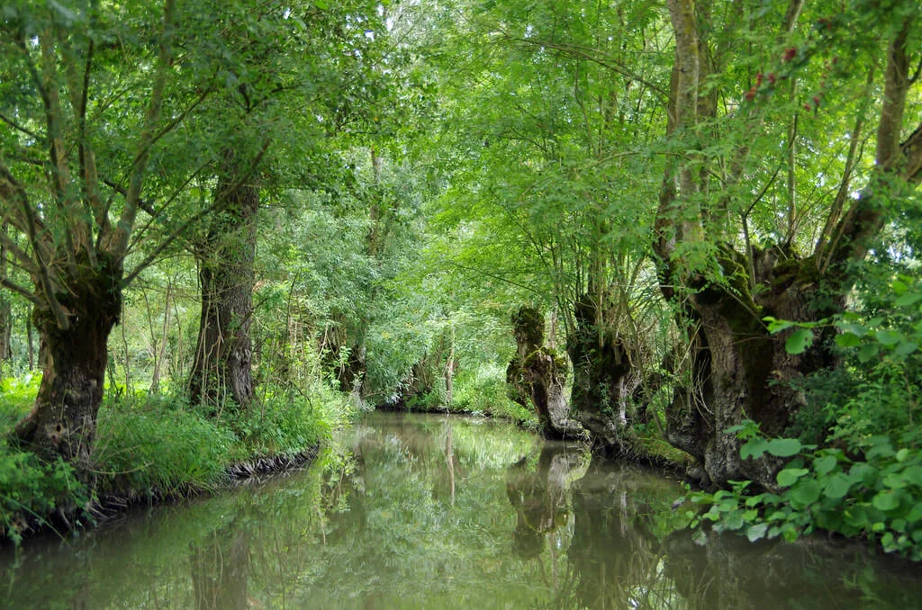 Marais poitevin, France, France