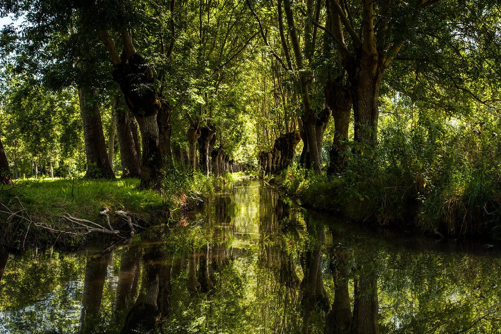 Marais poitevin, France, France